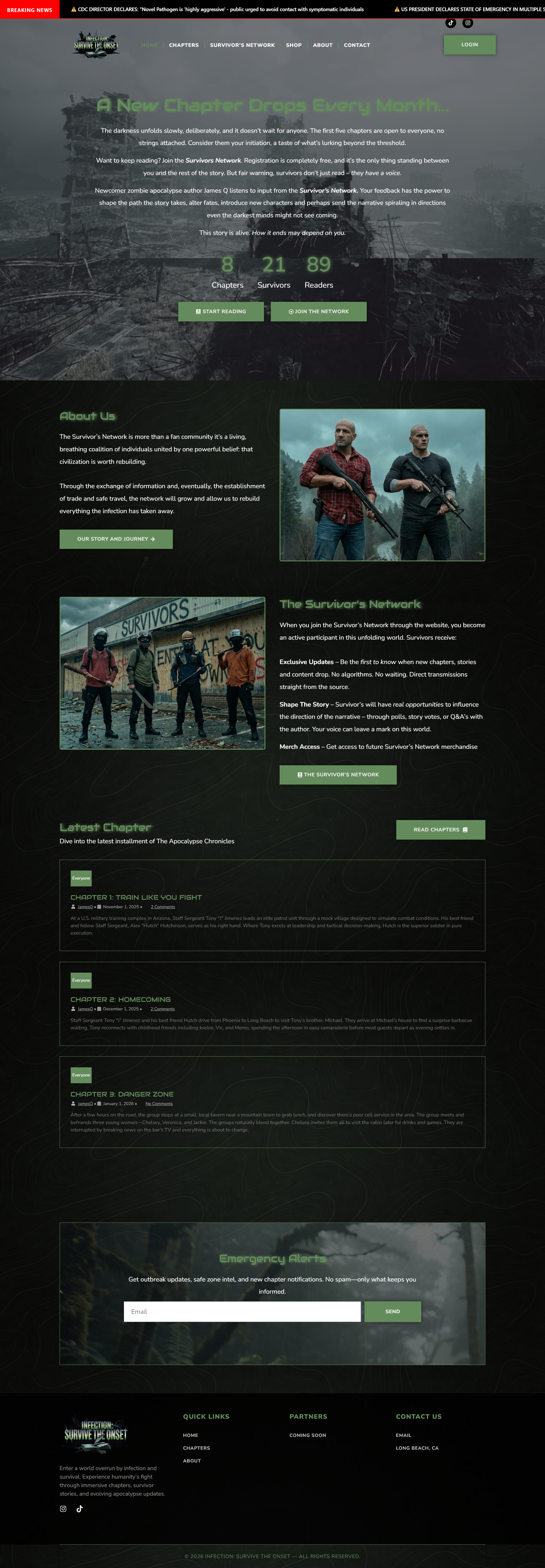 Project preview